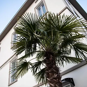  Guest house Le Palme